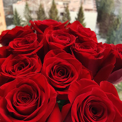 close up view bouquet of red roses.