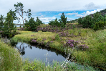 Fototapeta na wymiar Countryside at Lochindorb