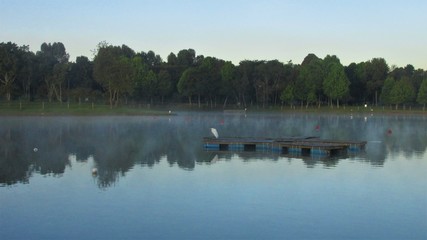 Niebla sobre el lago de las garzas