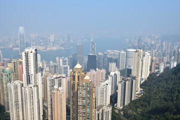 Obraz premium Bird view from Victoria peak, Hong Kong