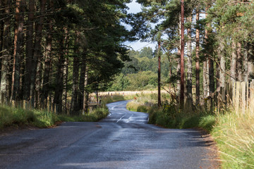 Obraz premium Scottish road near Boat of Garten