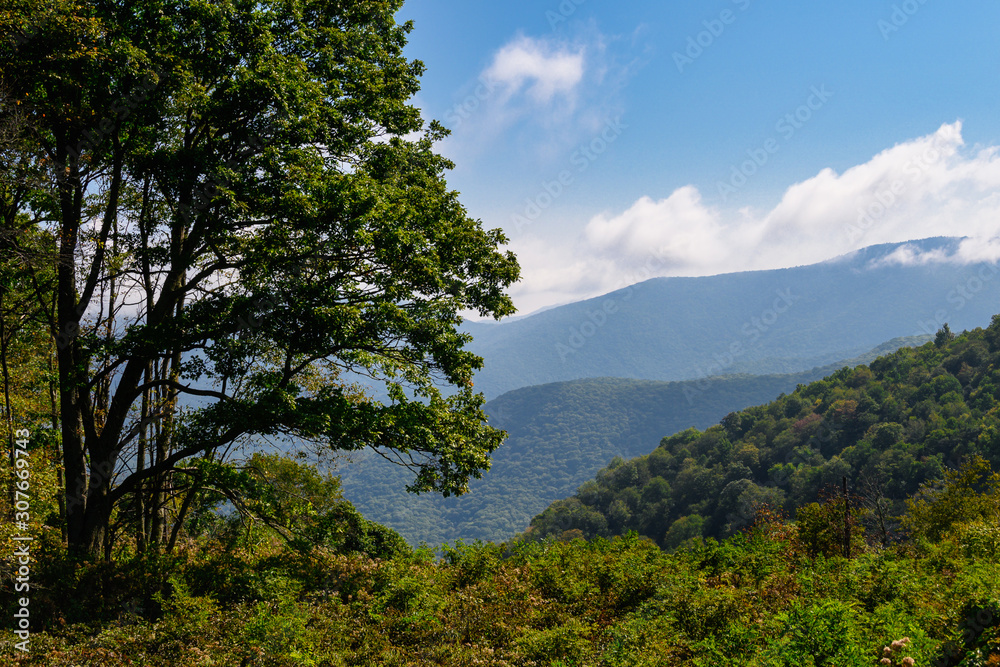 Wall mural Appalachian Mountain View Along the Blue Ridge Parkway