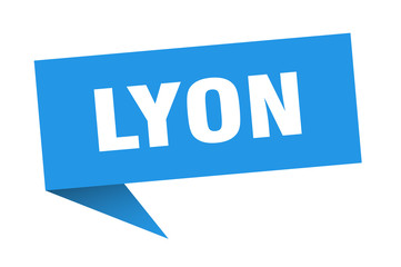 Lyon sticker. Blue Lyon signpost pointer sign