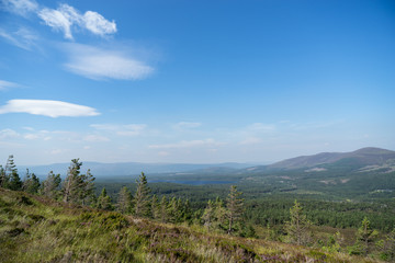 View from the Cairngorms towards Loch Morlich