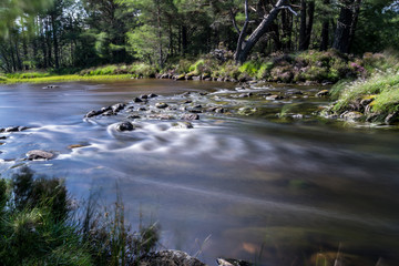 Fototapeta na wymiar Loch Morlich near Aviemore
