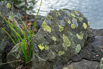 Lichen covered rock at Ullswater