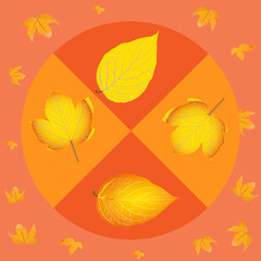 Autumn background in soft warm tone