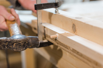 hammer dowels in a tree. man hammer dowels into a wooden surface.