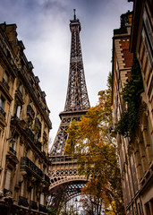 Eiffel Tower in Autumn
