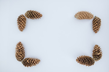 Fototapeta na wymiar Christmas background. Background of christmas cones.