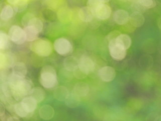 Fototapeta premium bokeh