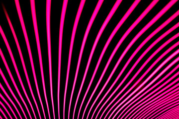 Bright neon line designed background, shot with long exposure. Modern background in lines style....