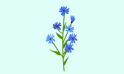 blue flowers isolated on blue background