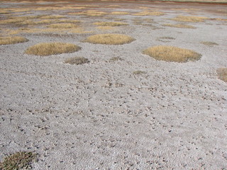 The panorama of the endless salt marshes of the Azov creates a picture of alien landscapes.