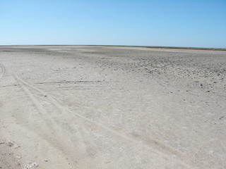 The panorama of endless Azov salt marshes in the middle of summer creates a misleading picture of snow-covered steppes.