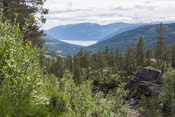 Rollagsfjell - Trillemarka Naturreservat, Landschaft, Norwegen