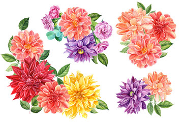 set of flowers. Yellow, red, pink dahlia isolated on a white background, watercolor illustration, botanical art