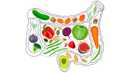 Healthy intestines, healthy food for digestion. Fiber, bran, fruits, vegetables, greens. Isolate on white background