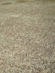 The panorama of the endless salt marshes of the Azov creates a picture of alien landscapes.