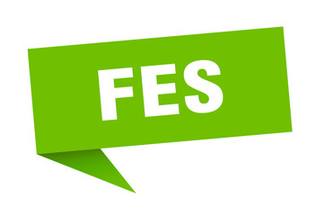 Fes sticker. Green Fes signpost pointer sign