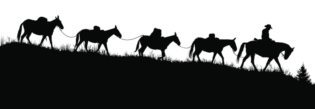 Vector silouettes of a cowboy riding a horse and leading pack mules. 