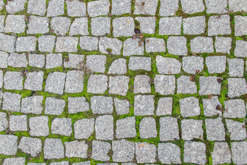paving tiles of the square form