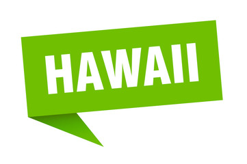 Hawaii sticker. Green Hawaii signpost pointer sign