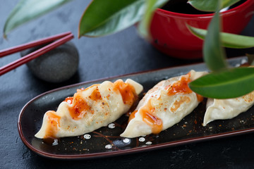 Fried potstickers or dumplings with pork and vegetables served on a black plate, closeup, selective focus