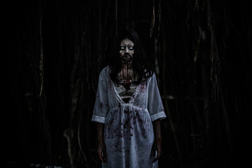 Portrait of asian woman make up ghost face with blood,Horror scene,Scary background,Halloween poster,Thailand people