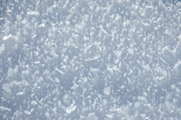snow crystals seen in detail