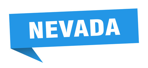 Nevada sticker. Blue Nevada signpost pointer sign