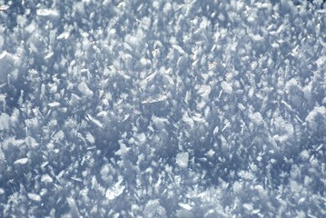 snow crystals 