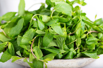 Mint. Bunch of Fresh green organic mint leaf in bowl on wooden table closeup