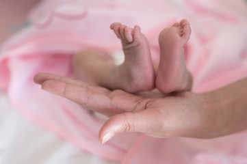 Obraz na płótnie Canvas Baby foots on mother hand.Newborn baby feet and relax action with pink blanket.Happy time family concept.