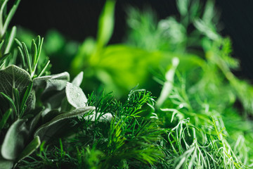 Macro photography of kitchen herbs like sage, rosemary, parsley, dill and basil.