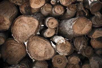 Timber,Tree stump, wood cutting,Conceptual environment