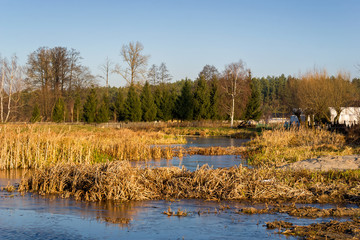 Rzeka Narew w okolicy Suraża, Narwiański Park Narodowy, Dolina Narwi, Suraż, Podlasie, Polska © podlaski49
