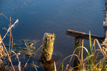 Rzeka Narew w okolicy Suraża, Narwiański Park Narodowy, Dolina Narwi, Suraż, Podlasie, Polska © podlaski49