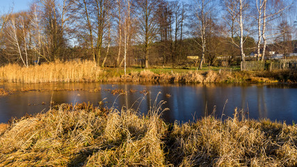 Rzeka Narew w okolicy Suraża, Narwiański Park Narodowy, Dolina Narwi, Suraż, Podlasie, Polska © podlaski49