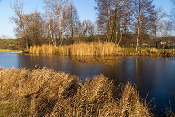 Rzeka Narew w okolicy Suraża, Narwiański Park Narodowy, Dolina Narwi, Suraż, Podlasie, Polska © podlaski49