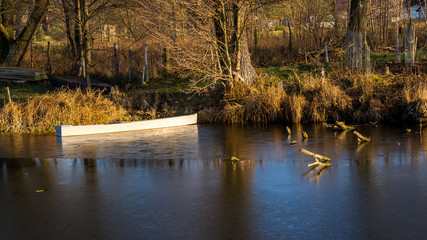 Rzeka Narew w okolicy Suraża, Narwiański Park Narodowy, Dolina Narwi, Suraż, Podlasie, Polska © podlaski49