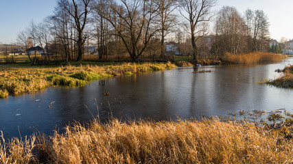Rzeka Narew w okolicy Suraża, Narwiański Park Narodowy, Dolina Narwi, Suraż, Podlasie, Polska © podlaski49