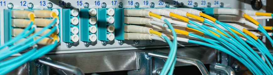 Fototapeta na wymiar Netzwerk Switch und Netzwerkkabel Lichwellenleiter LWL in einem Rechenzentrum