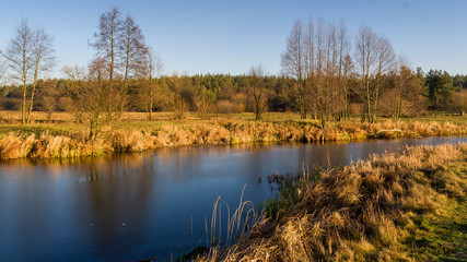 Rzeka Narew w okolicy Suraża, Narwiański Park Narodowy, Dolina Narwi, Suraż, Podlasie, Polska © podlaski49