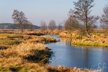 Rzeka Narew w okolicy Suraża, Narwiański Park Narodowy, Dolina Narwi, Suraż, Podlasie, Polska © podlaski49