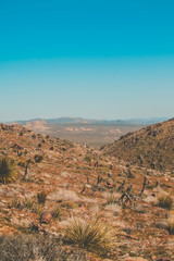 view of the desert