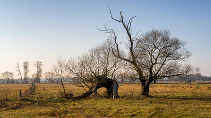 Rzeka Narew w okolicy Suraża, Narwiański Park Narodowy, Dolina Narwi, Suraż, Podlasie, Polska © podlaski49