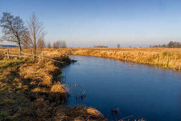 Rzeka Narew w okolicy Suraża, Narwiański Park Narodowy, Dolina Narwi, Suraż, Podlasie, Polska © podlaski49