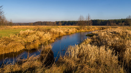 Rzeka Narew w okolicy Suraża, Narwiański Park Narodowy, Dolina Narwi, Suraż, Podlasie, Polska © podlaski49