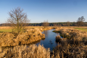 Rzeka Narew w okolicy Suraża, Narwiański Park Narodowy, Dolina Narwi, Suraż, Podlasie, Polska © podlaski49